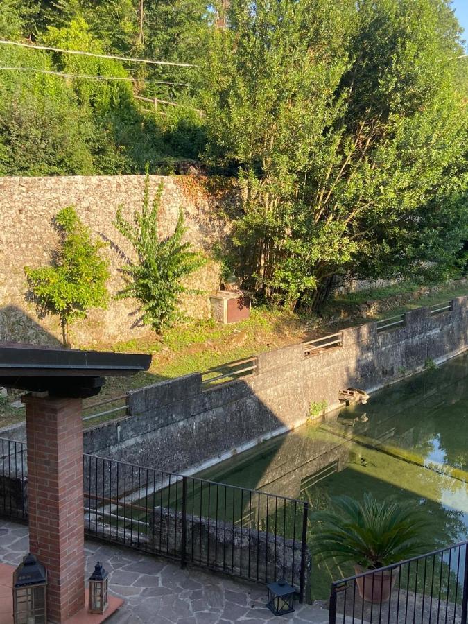 Tenerisognidori Camaiore Exterior foto