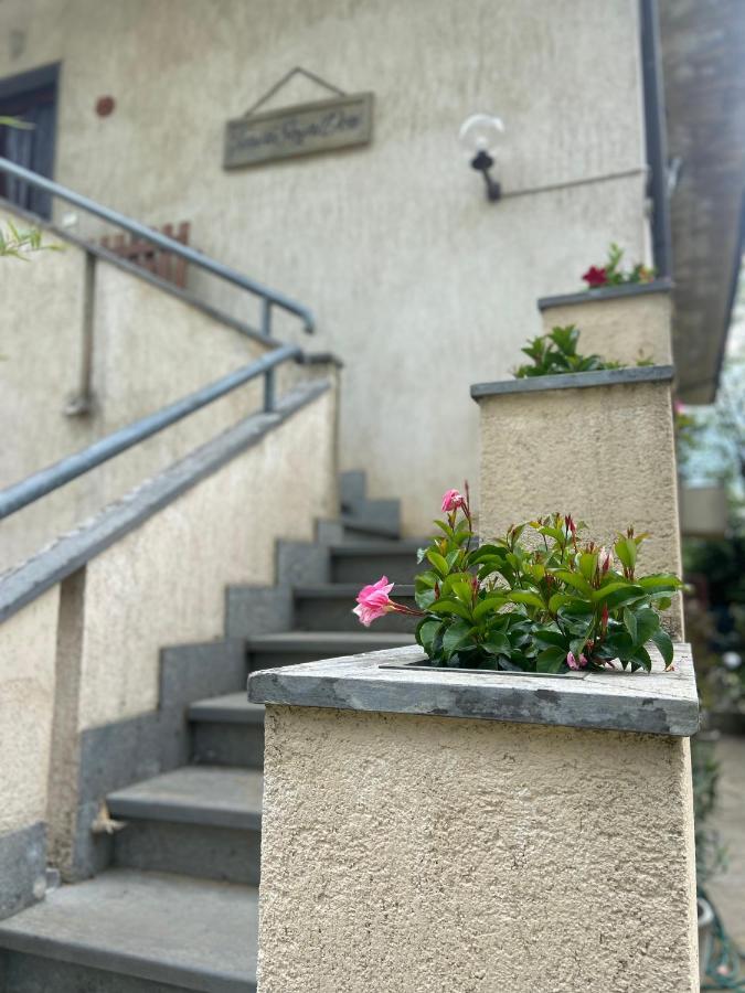 Tenerisognidori Camaiore Exterior foto